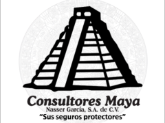 Logo Consultores Maya Logo Consultores Maya