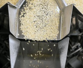 Pasta production line, pasta manufacturing