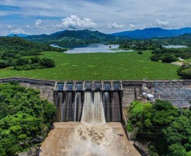 photo5095887450580036220